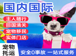 贵阳航空邮寄国际宠物托运 【国